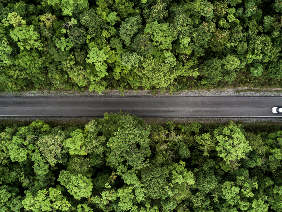 Ariel view of a straight road surrounded by trees