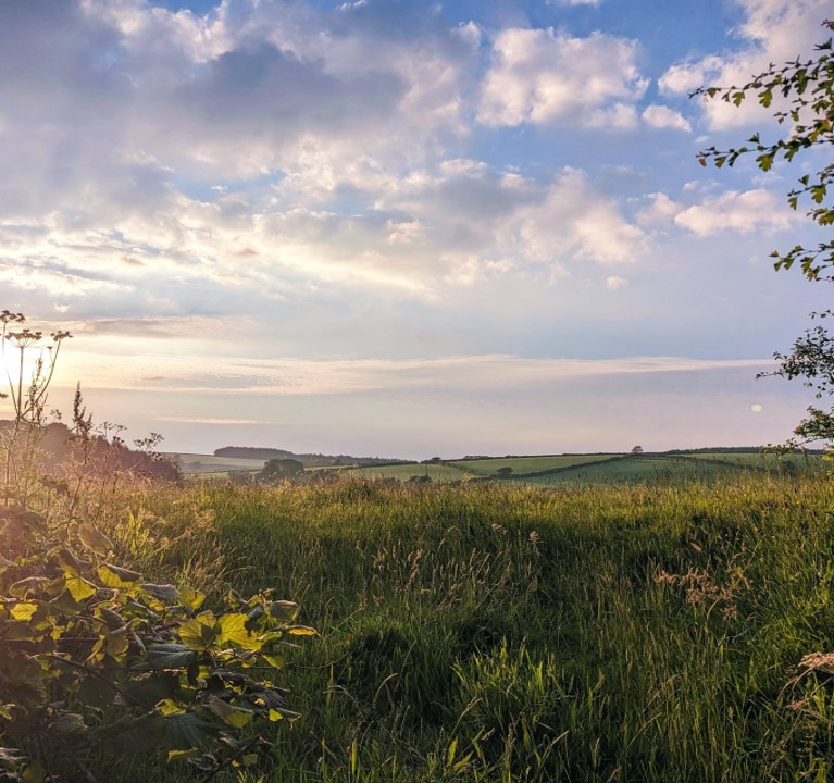 Beautiful picture of a field and the sky