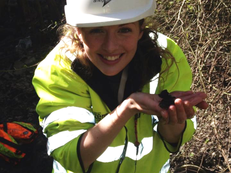 Female Amey employee, wearing PPE, holding an insect.