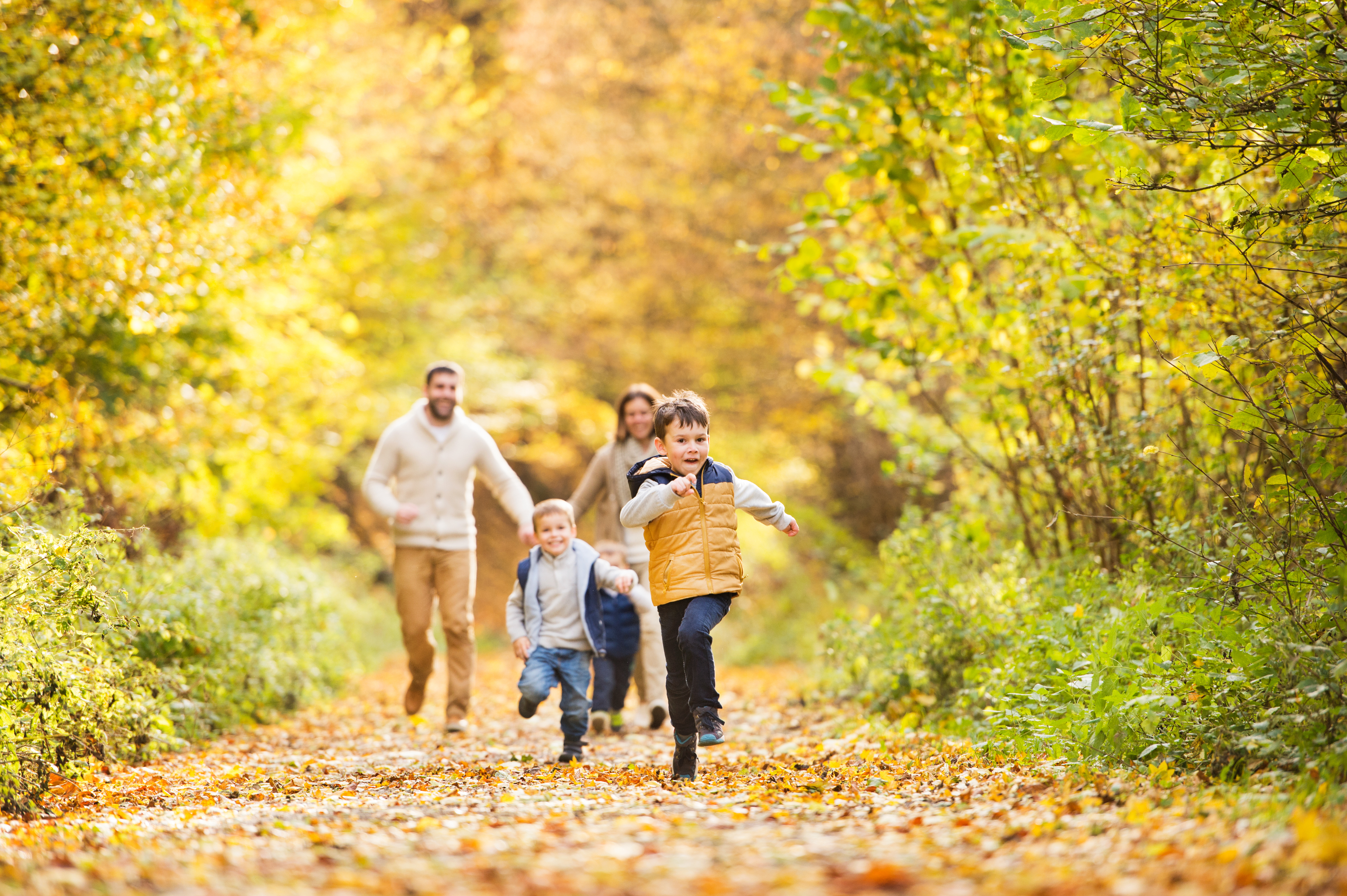 Image of family walking in the woodlands