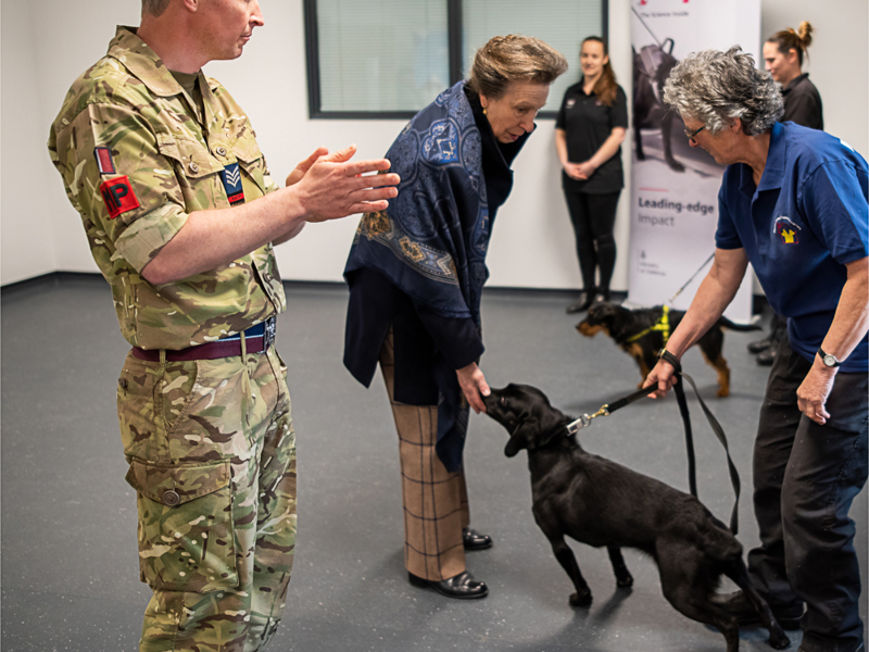 Image of military personnel and women leaning down to stroke a dog.